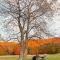 Historic Renovated Barn at Boorn Brook Farm - Manchester Vermont