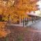 The Harrietville Snowline Hotel