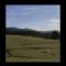 Shepherds hut Lowri