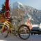 Rustic 3 Br Condominium Condo - Crested Butte