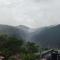 Foggy Mount View
