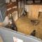 A la ferme