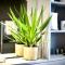 Zen life with Urban Views - E8 Chic