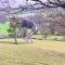 4 beautiful stone built barns sleeping 17 people - Llangwm-isaf