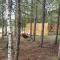 Glamping Pod im Wald mit Einzelbetten - Nordholz