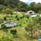 Las Mercedes Finca Cafetera