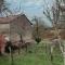 La ferme du pont de Maumy, cabane au bord de l'étang et bain nordique - Busserolles