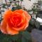 Twin Oaks Bed & Breakfast
