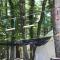 THE DAY POST GENERAL GLAMPING VILLAGE Yamanakako