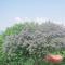 Camellia Heights 1&2 - Coonoor