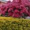 Camellia Heights 1&2 - Coonoor