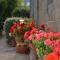 Maison de Benedicte photo 20