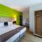 Kedi Hotel Papenburg