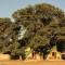 Kalahari Game Lodge