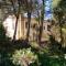 Elegant Villa Trapani + Pool