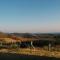 Tinton Hillstay