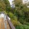 Hafod Rowen - Llangelynin