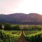 Heart of Constantia - SOLAR POWERED - 开普敦