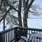 The Point - On Gull Lake