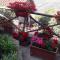 Il giardino del borgo