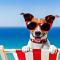 Sunbeach Chalets