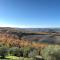 Fattoria Monastero Sant'Anna in Camprena - Pienza