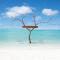 Niru Isle Maldives