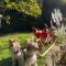 Unique Artists studio with a private garden. - Pewsey