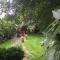 Unique Artists studio with a private garden. - Pewsey