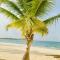DREAM ON THE BEACH