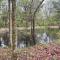 Charming Tiny Home! Close to Oxford, Sardis Lake, Safari Animal Zoo - Sardis