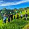 Sun Rice Homestay