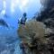 Oceans Explore Hostel