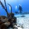 Oceans Explore Hostel