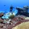 Oceans Explore Hostel