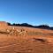 Wadi rum Ahmed Badawi - Wadi Rum