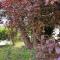 Giardino a Mare