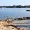 Apartments with parking spaces Basanija, Umag - 21069