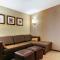 Comfort Suites Carlsbad - كارلسباد