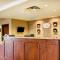 Comfort Suites Carlsbad - كارلسباد
