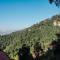 Hotel Shiva Continental - Mussoorie