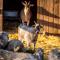 Pederstrup Bed and Breakfast - Torrig