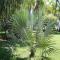 Beso del Viento (Adults Only)