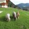 Am Ferienbauernhof Schmiedbauer com Salzkammergut
