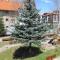 Bansko St Ivan Rilski Luxury Apartment 4 stars Free SPA & Mineral water - Banszko