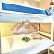 LocaLise au Guilvinec - A15 - Vue sur la mer la piscine et le jardin - Tout à pied, plages, port, centre, commerces, marché - Wifi inclus - Animaux bienvenus - Linge de lit inclus - 吉尔维内克