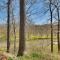 Spacious Prospect Cottage with Deck and Scenic Views - Prospect