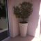 Estia Luxury Maisonette