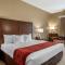 Comfort Inn South
