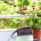 B&B Lovac Hasa 2